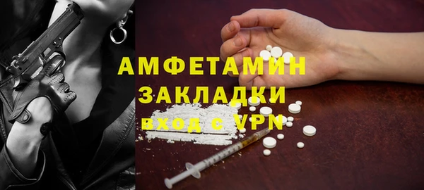 стаф Инта