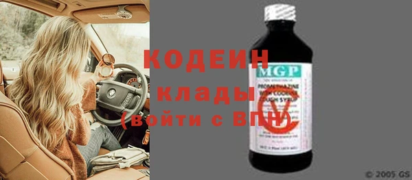 стаф Инта
