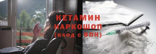 стаф Инта