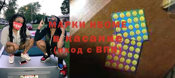 стаф Инта