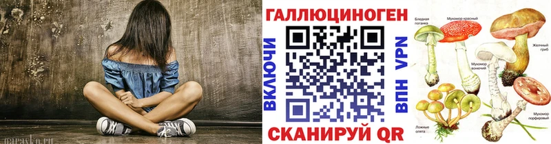Галлюциногенные грибы Psilocybe сайты даркнета какой сайт Ессентуки где найти
